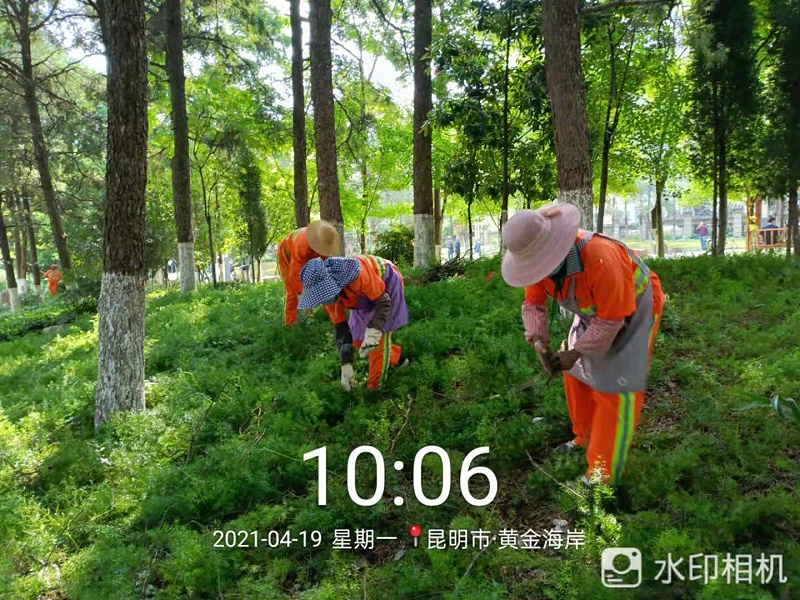 市政管養一體化-玉龍環保