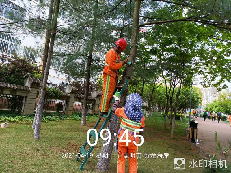 市政管養一體化-玉龍環保2