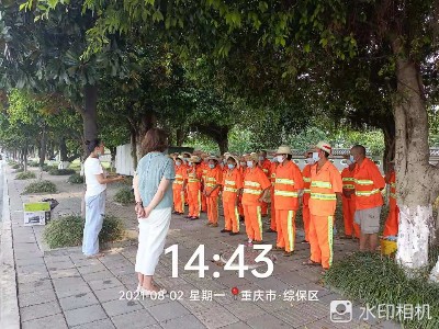重慶高新區鎮街城鄉環境衛生及園林綠化一體化管護服務項目