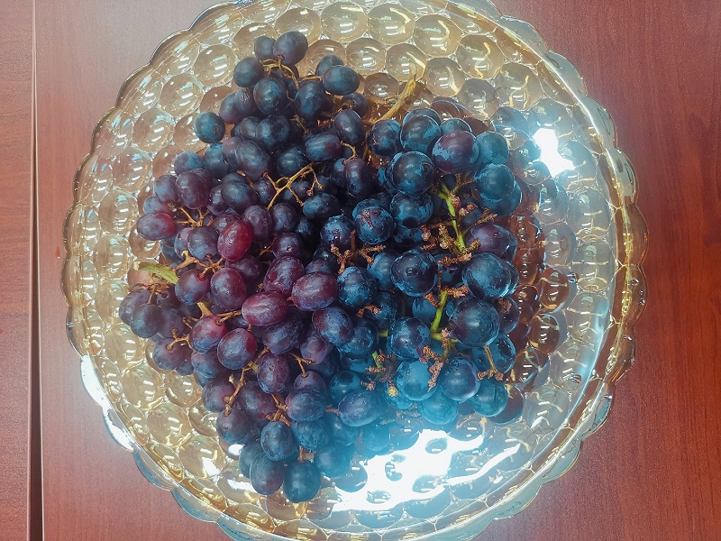 玉龍環保端午節茶話會5
