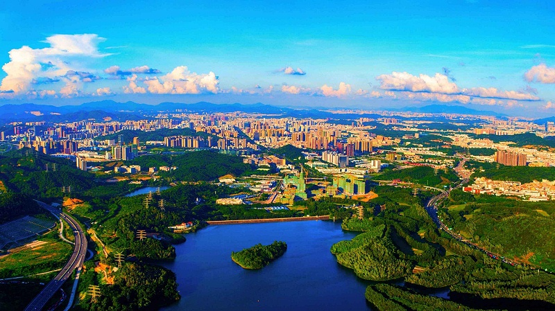 龍城街道圖片