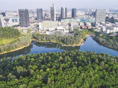 深圳市龍崗區平湖街道清掃清運及轉運站管理服務項目